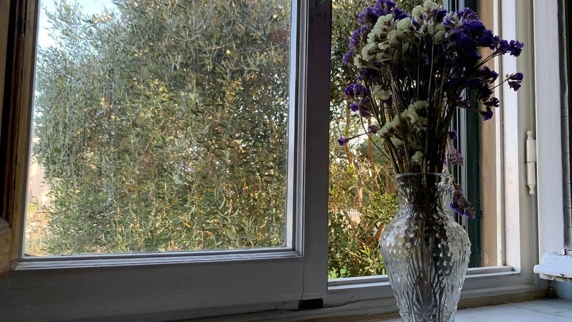 Bed And Breakfast Villa Adelina Lucca 0*,