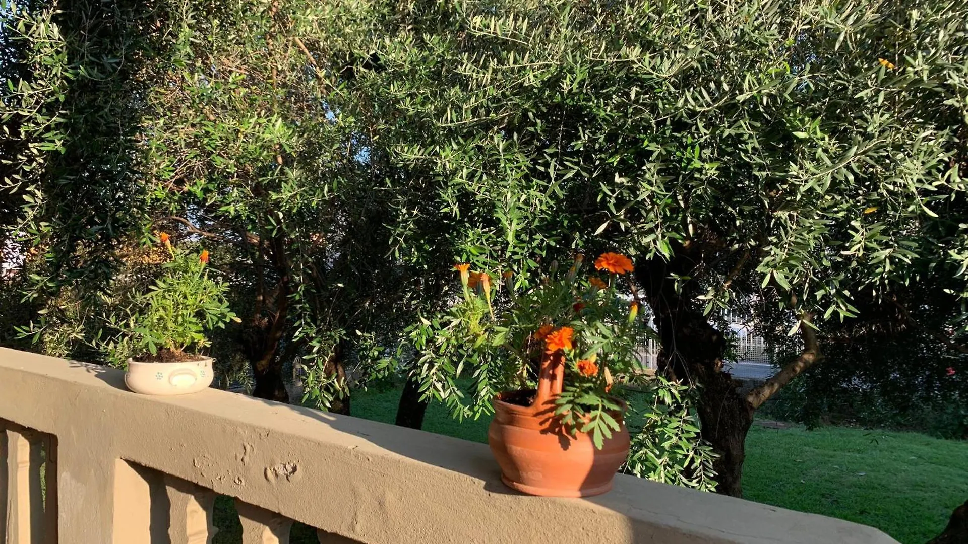 Bed And Breakfast Villa Adelina Lucca